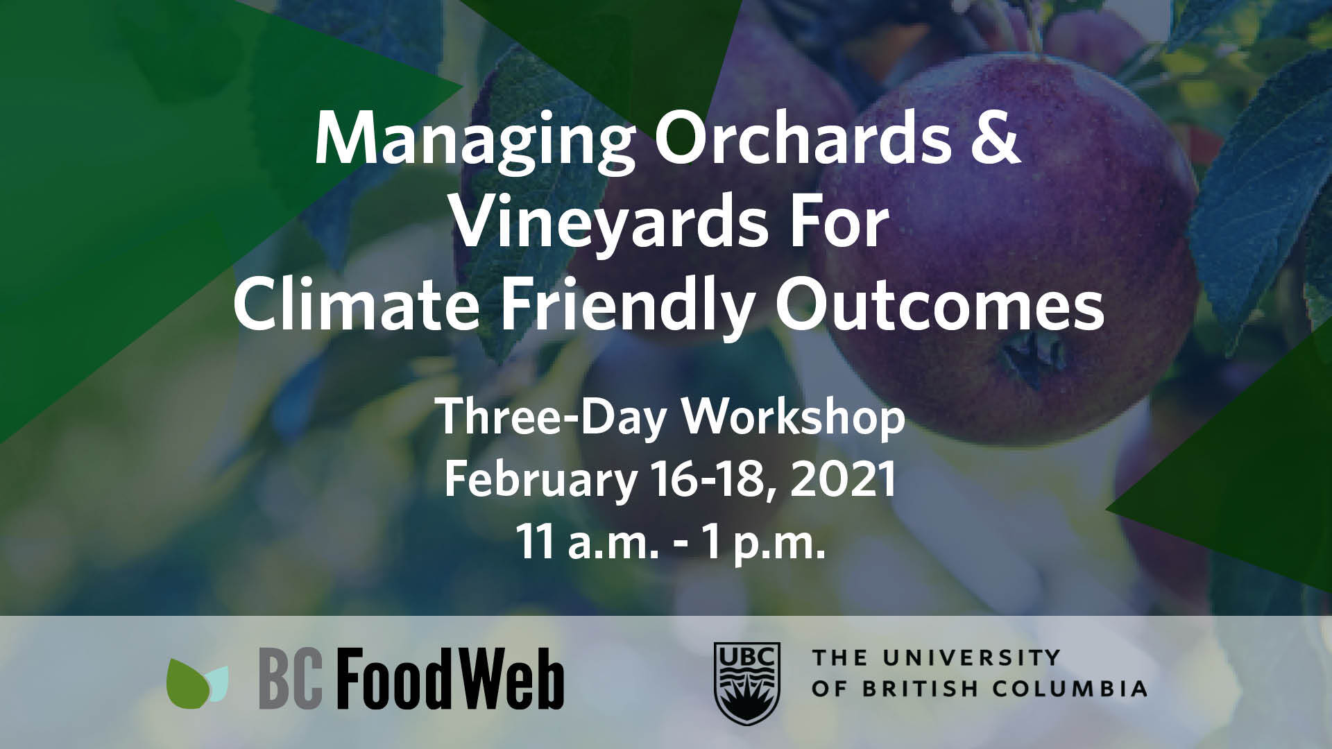 Webinar Series Banner Image