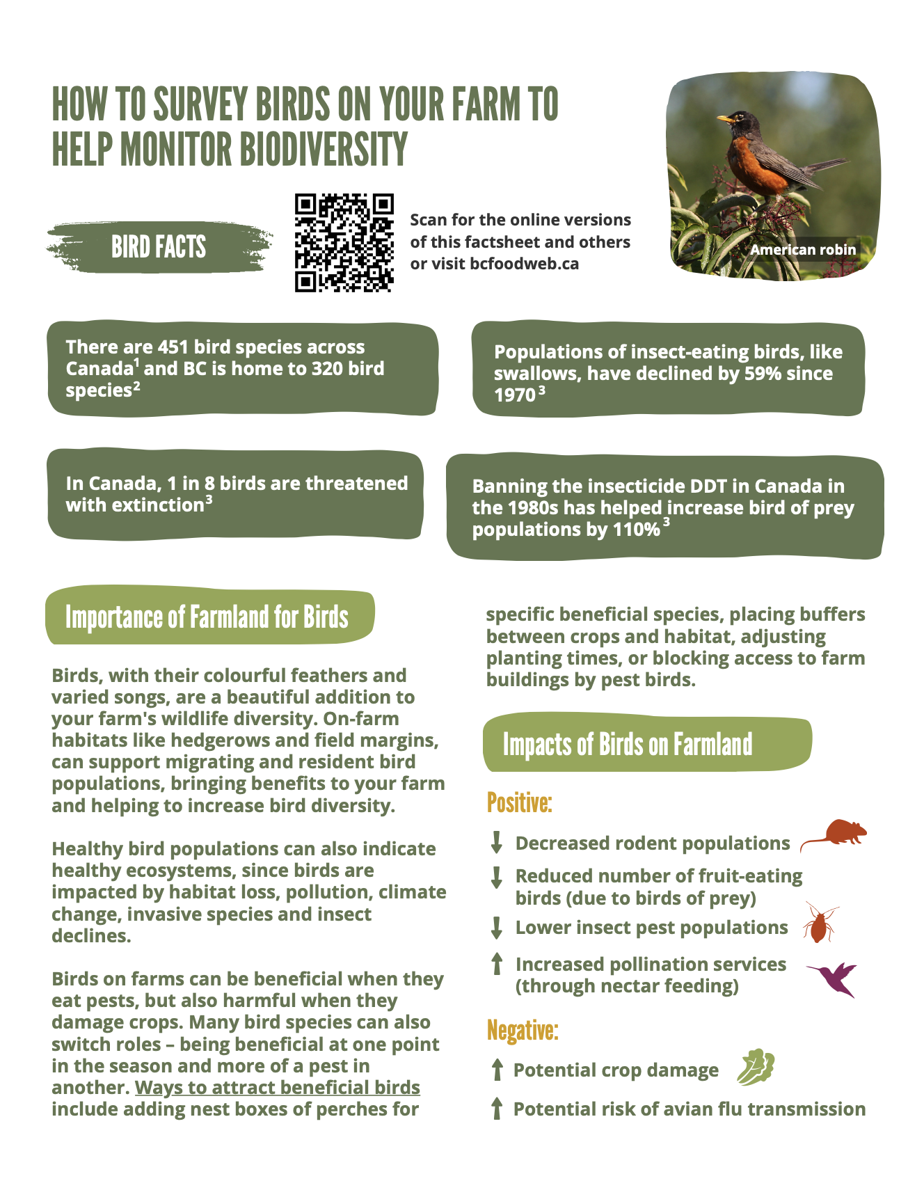 thumbnail of the bird factsheet's first page