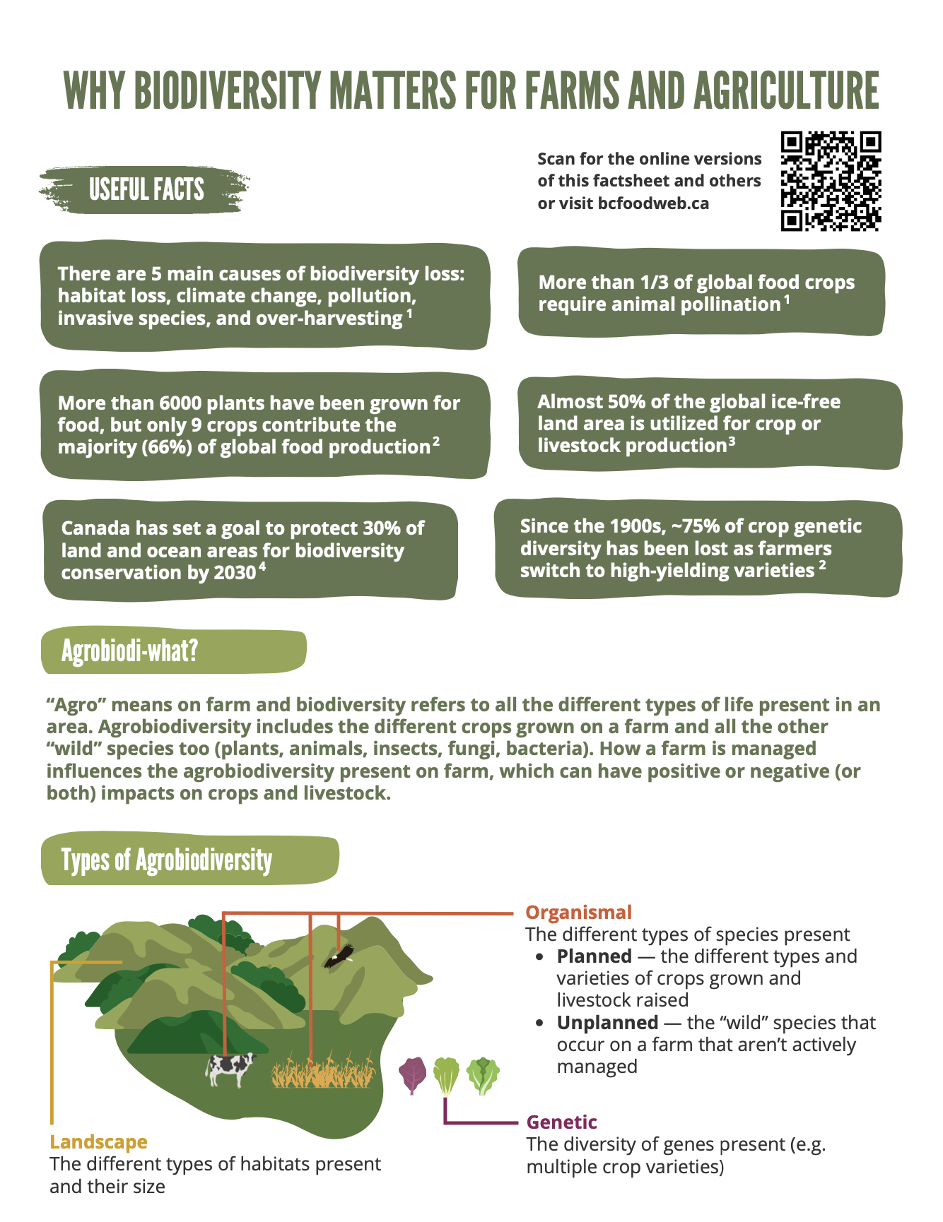 thumbnail of the introduction factsheet's first page